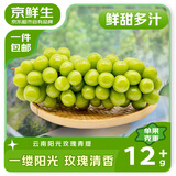 京鲜生 云南阳光玫瑰青提 净重450-550g 单果12g+ 生鲜水果源头直发