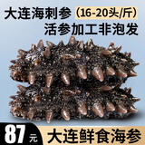 皇家麒麟 即食海参 即食大连刺参单个装辽刺参海参干货水产礼盒净含量500g 7A鲜食海参 16-20只/斤 两斤装