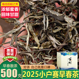 臻味思小户赛古树春茶昔归普洱茶生茶散茶云南临沧冰岛茶散装茶叶礼盒装 2025年小户赛大树春茶500g