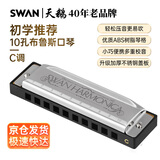 天鹅（SWAN） 10孔布鲁斯口琴升级款银色C调