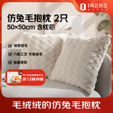 蓝铂 仿兔毛抱枕客厅沙发毛绒床头靠枕 50*50cm 两只装(枕套+枕芯)