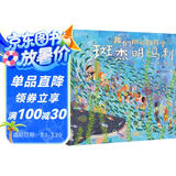 我们班的新同学斑杰明·马利 趣味绘本大师赖马全新力作 和小斑马一起学会接纳他人和自己3-9岁（启发出品）六一儿童节礼物女孩男孩暑假作业 一升二暑假衔接 小升初暑假衔接