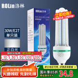 洛林（ROlin）led灯泡节能灯泡 e27大螺口家用商用大功率光源 30W白光