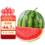 京鲜生 甘美4K西瓜 1粒 单果6斤起 生鲜水果