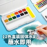 掌握（GRASP）文具12色固体水彩颜料儿童美术绘画水彩水粉美术专业工具初学者手绘画颜料