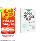周计划：初中数学代数综合题高效训练（9年级+中考）