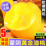粤迎山东蒙阴黄金油桃源头直发现摘现发桃子爆甜多汁源头软硬两吃 4