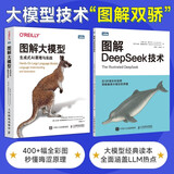 图解大模型+图解DeepSeek技术 京东套装2册 图灵出品