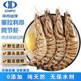 中水远洋进口斑节虾活冻锁鲜无冰大虾净重2斤鲜冻塞拉利昂竹节虾40-60只