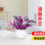 京云梦油画婚礼吊兰垂吊植物花卉植物室内花盆栽圆形吸水盆源头直发