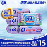 维达（Vinda）杀菌湿巾 80片*5包 线条小狗IP款 杀菌率99.9% 湿纸巾 整箱