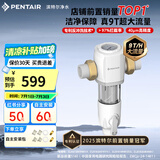 滨特尔（pentair）前置过滤器大通量家用全屋自来水管道40μm过滤器9吨/H大流量水驱涡轮+反冲洗刮洗净水器 【升级9T/H】S160前置过滤器