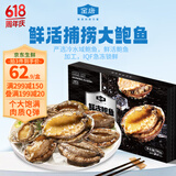 金唐鲜冻大鲍鱼净重500g/ 10头鲍 带壳鲍鱼肉 贝类海鲜生鲜火锅烧食材