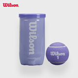 Wilson威尔胜2025全新配色罐装网球2只装 落日紫色
