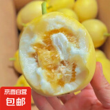 山东新下头茬黄河蜜罐景甜5号 景甜5号1.5斤