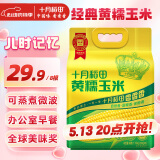 十月稻田 黄糯玉米 3.52斤(220g*8根) 东北甜黏玉米棒 早餐苞米 真空包装
