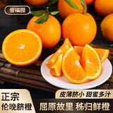 誉福园正宗伦晚脐橙秭归脐橙甜橙当季水果湖北手剥橙果冻甜新鲜橙整箱 大果70-75mm丨汁水充盈 净重9斤装