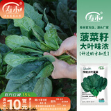 寿禾 大叶小叶菠菜种子大全波菜种蔬莱耐寒蔬菜四季播寿光夏秋菜籽 红根大叶菠菜种子100g（春秋冬）