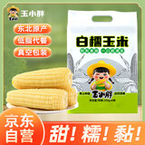 玉小胖东北白甜糯玉米棒8根*250g＞4斤 真空包装粘黏玉米 低脂早餐代餐
