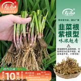 寿禾 蔬菜苗活苗带土发货大全菜苗种苗春夏各种秧苗山东寿光苗子阳台 紫根韭菜根苗300棵+3包50g肥