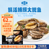 金唐鲜冻大鲍鱼净重500g/ 10头鲍 带壳鲍鱼肉 贝类海鲜生鲜火锅烧食材