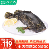 哆鲜生 海捕石斑鱼 野外生长鲜活冷冻东星斑龙趸斑三去龙胆斑鱼类生鲜 三去珍珠斑 750-900克