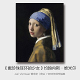 史历克 数字油画DIY世界大师名作合集1手工涂色画创意减压填色油画 少女（维米尔）FZ-1150 40*50cm 彩布(要自己涂色)