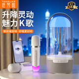 塔努啦（TANALAZ）K19琉璃K歌音响麦克风无线蓝牙全民唱k歌儿童家庭Ktv自带声卡音箱套装【双话筒】