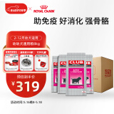 皇家狗粮 幼犬狗粮 犬粮通用犬型 A3 通用粮2-12月3KG*4