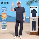 宝财羊爸爸夏季套装短袖t恤男冰丝运动polo衫中老年人上衣服父亲节礼物