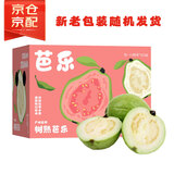 京鲜生 白心奶油芭乐 番石榴 轻微红点 净重3斤 单果150g+ 水果礼盒