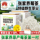 草木方 莓茶100g 莓茶特级野生张家界降三高 搭永顺莓茶霉茶藤茶 养生茶