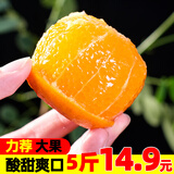 果果牛秭归湖北夏橙 当季新鲜水果手剥酸甜橙子高山冰糖脐血多汁 可选 5斤超值装中号