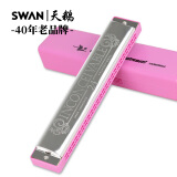天鹅SWAN 口琴 24孔复音C调演奏口琴（粉色琴格）