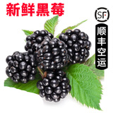 【顺丰航空】新鲜树莓 覆盆子 红树莓 新鲜水果  独立包装 黑莓250g【丰产特惠价】 树莓黑莓易坏，收到及时打开