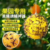 千居惠果蝇诱捕器粘虫球室内强力粘捕灭果蝇小飞虫神器防蚊虫飞蛾飞虫 【10 套】果蝇诱捕器 囤货装 全屋长效捕虫 防虫更彻底