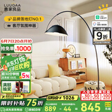 鹿家良品（LUUGAA）护眼网红钓鱼灯客厅落地灯沙发灯现代简约轻奢卧室落地灯氛围灯具 护眼210cm无极光16W黑智能