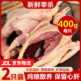 百味殿乳鸽生鲜宰杀新鲜正宗三年老鸽子含心肝冷冻农家散养滋补土鸽子汤 【蕞滋补】老鸽子净重400g*两只（送料包）