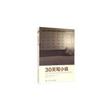 30天写小说/创意写作书系