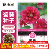 花沃里蜀葵花种子约200粒 花卉种子盆栽阳台种菜土四季草籽阳台庭院田间