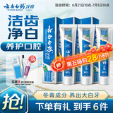 云南白药经典系列牙膏套装 护龈祛渍洁齿 亮白清新口气冬青香型165g*3