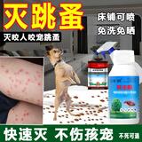 亿之康.追风灭跳蚤专用杀虫粉剂床上驱除跳蚤药宠物狗大面积喷雾虱子清非无毒 1瓶壶+粉杀虫灭卵长期防不伤人宠