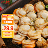 初鲜大号冷冻带黄扇贝肉2斤约80-120颗烧烤火锅食材海鲜水产端午聚餐