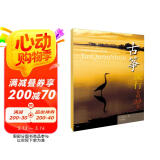 古筝流行金曲99首