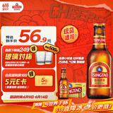 青岛啤酒（TsingTao）精酿小棕金 拉环瓶盖设计 258ml*12瓶 整箱装 父亲节礼物