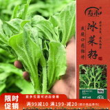 寿禾 冰菜种子苗水晶冰草四季春种植蔬菜种籽 潍育潍丰冰菜种子2000粒