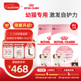 皇家猫粮 幼猫猫粮 幼猫奶糕 K36 通用粮 4-12月 4.5KG*2