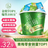 溜溜梅青梅分享桶460g西梅雪梅脆青梅话梅蜜饯果干健康休闲零食团购礼包