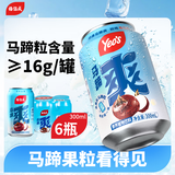 杨协成马蹄爽荸荠饮料300ml*6罐 新加坡品牌粒粒爽脆【25年新日期产品】