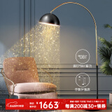 帝拿（DINAH） 落地灯客厅沙发旁钓鱼灯卧室书房阅读美式极简轻奢立式灯具 落地灯（智能遥控调光）
